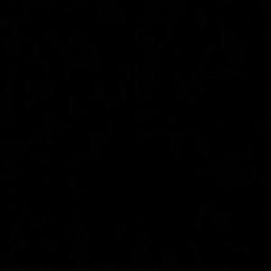 Meet your Posher, Gaby